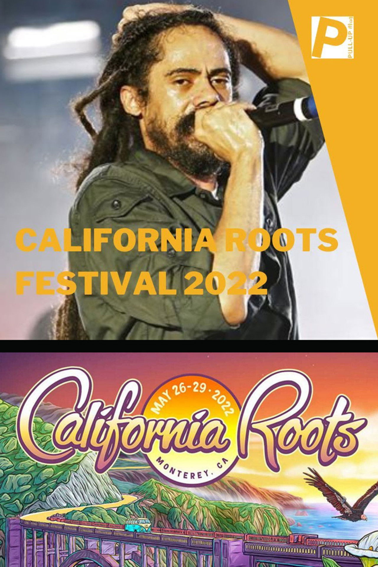 Damian Marley: Live at California Roots 2022 Backdrop