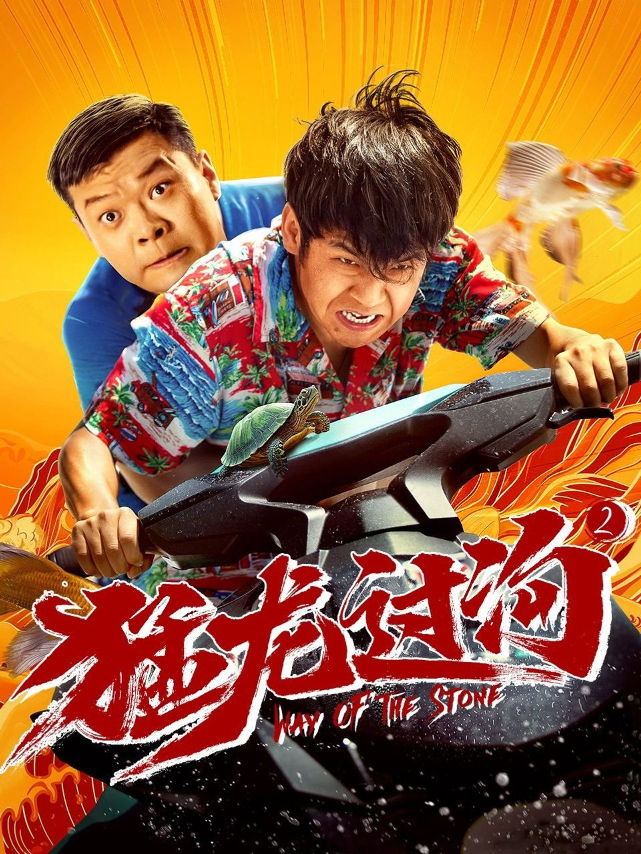 猛龙过沟2 filmaffisch