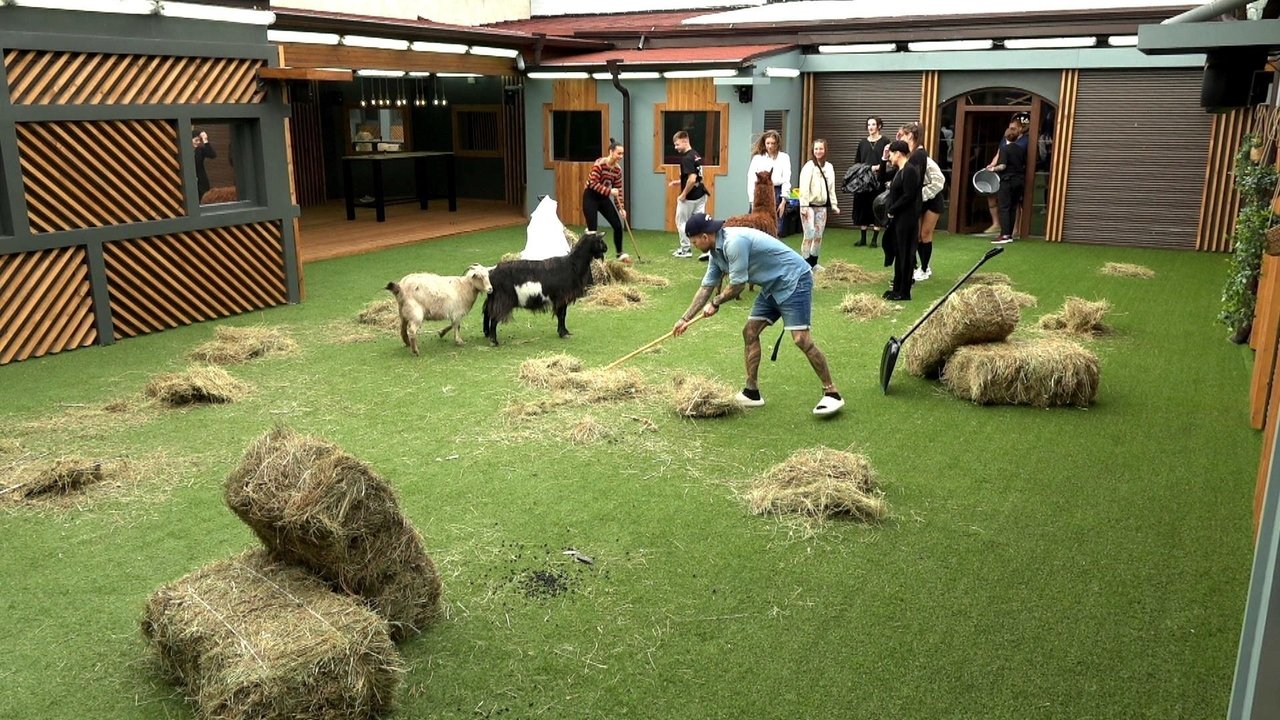 Big Brother Česko & Slovensko - Season 1 Episode 32 : Episode 32