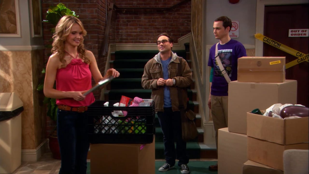 The Big Bang Theory - Season 2 Episode 19 : The Dead Hooker Juxtaposition