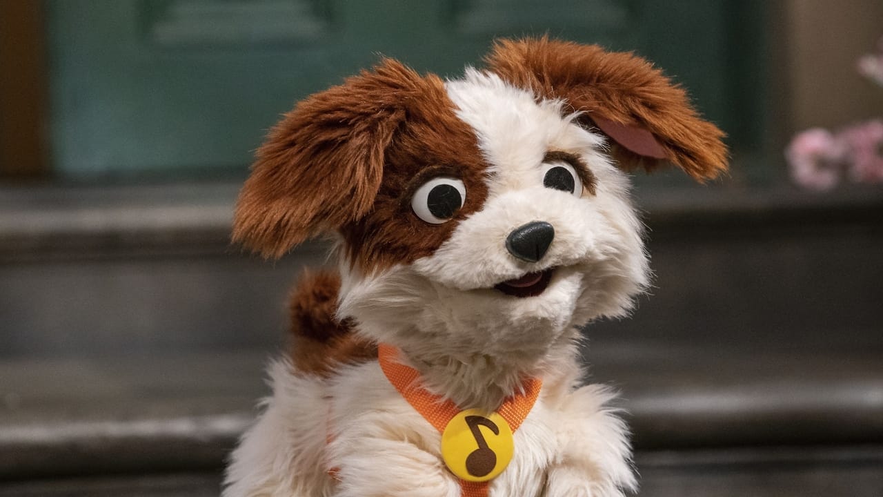 Sesame Street - Season 52 Episode 6 : Doggie Job Search