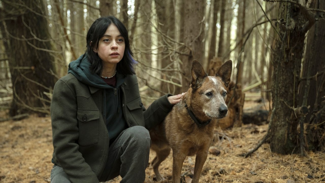 Image Orphan Black: Echoes