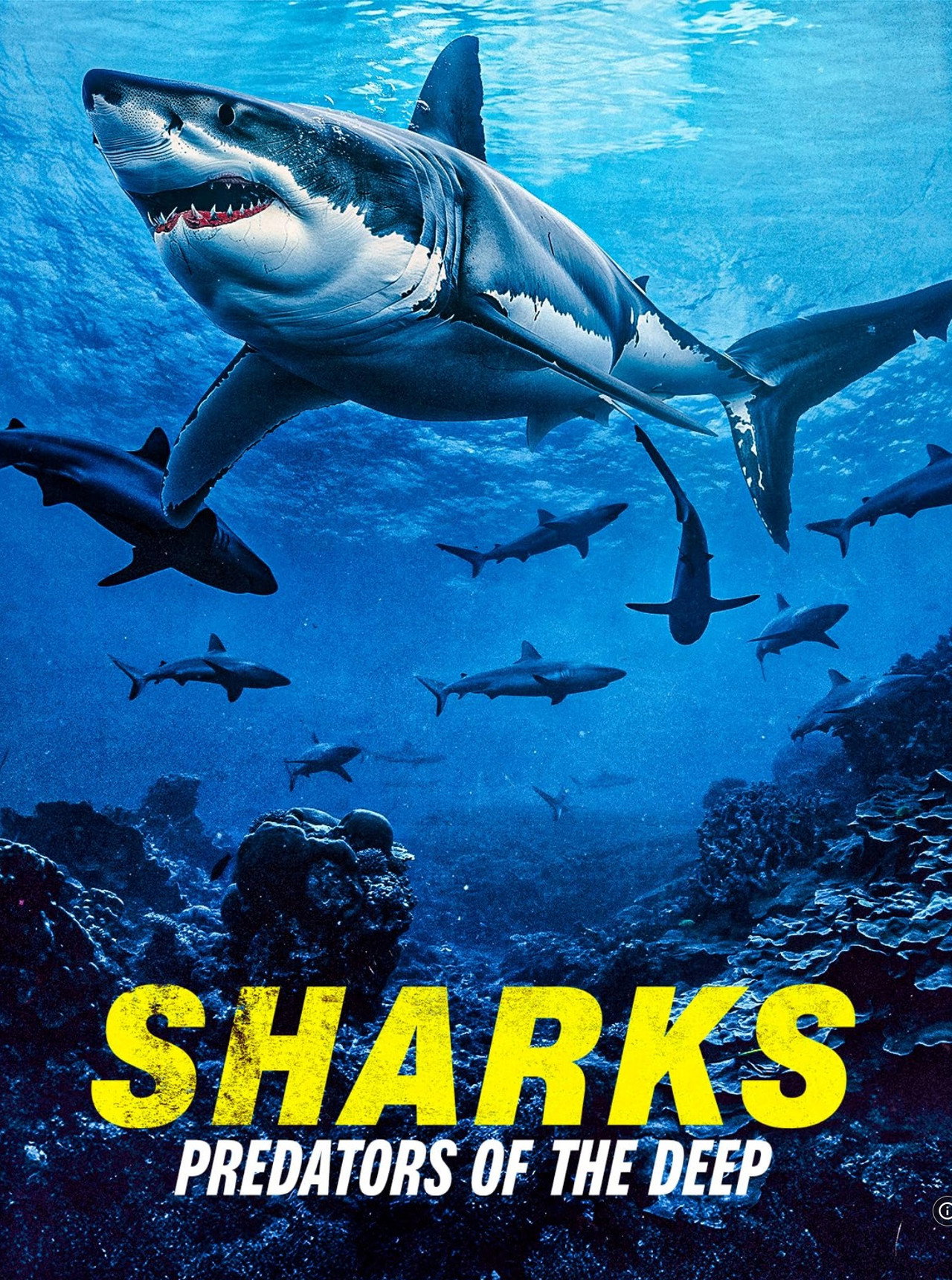 Sharks: Predators of the Deep filmaffisch