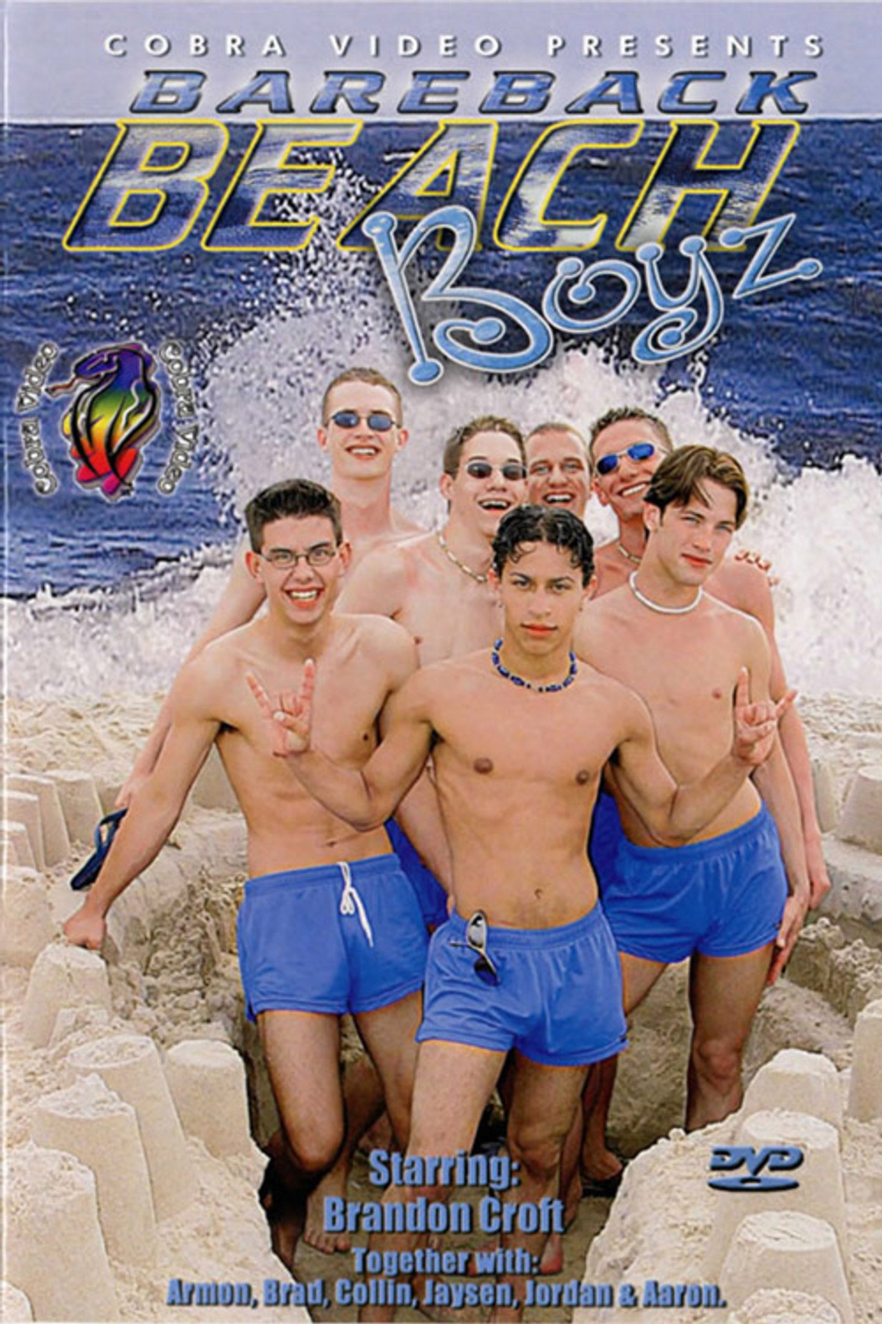 Bareback Beach Boyz filmaffisch