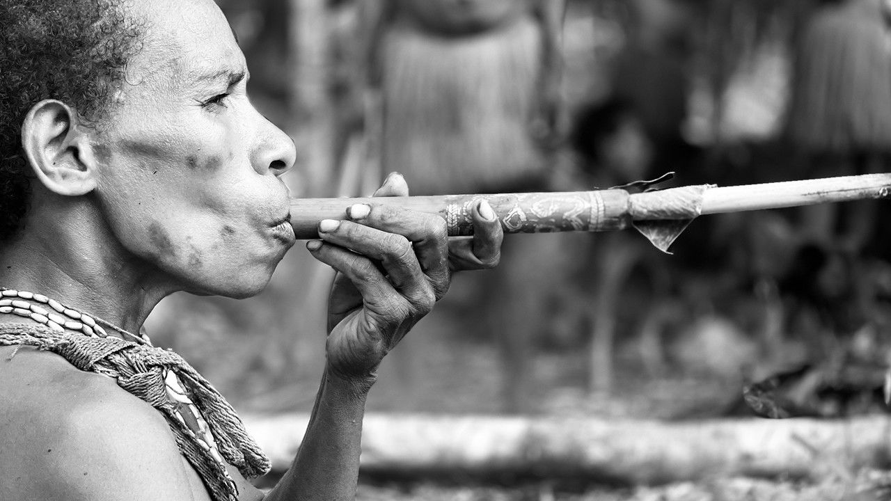 Fritz Meinecke - Facing the Unknown — Épisode 4