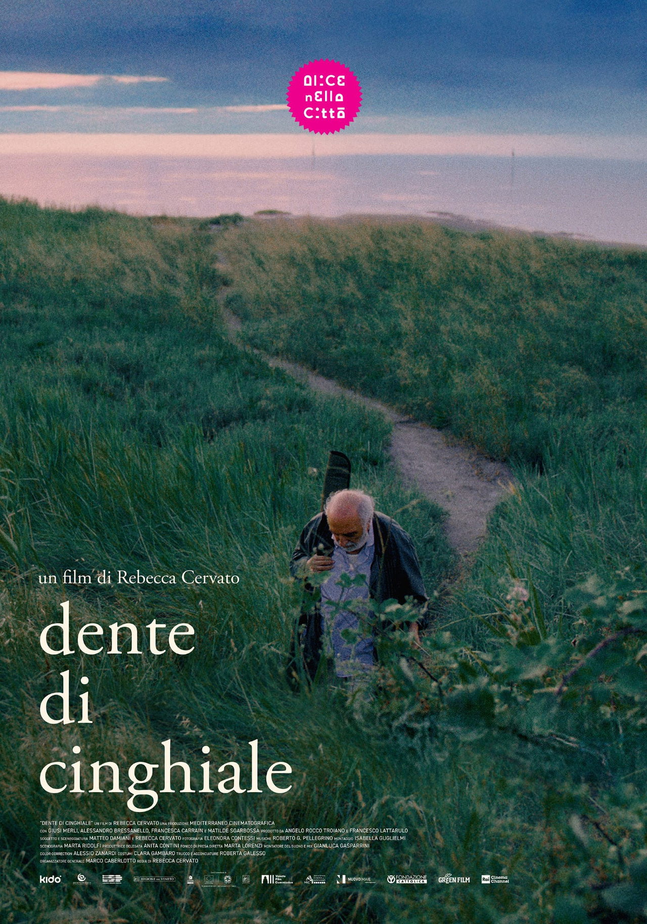Dente di cinghiale poster