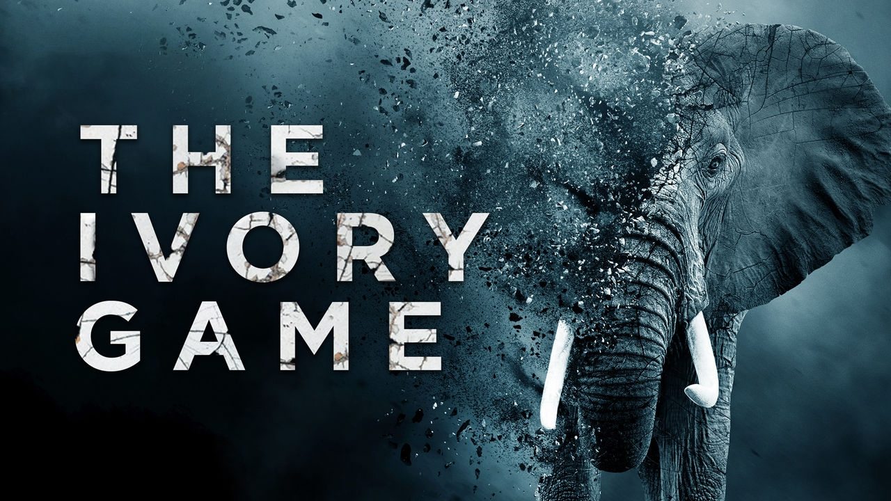 The Ivory Game background