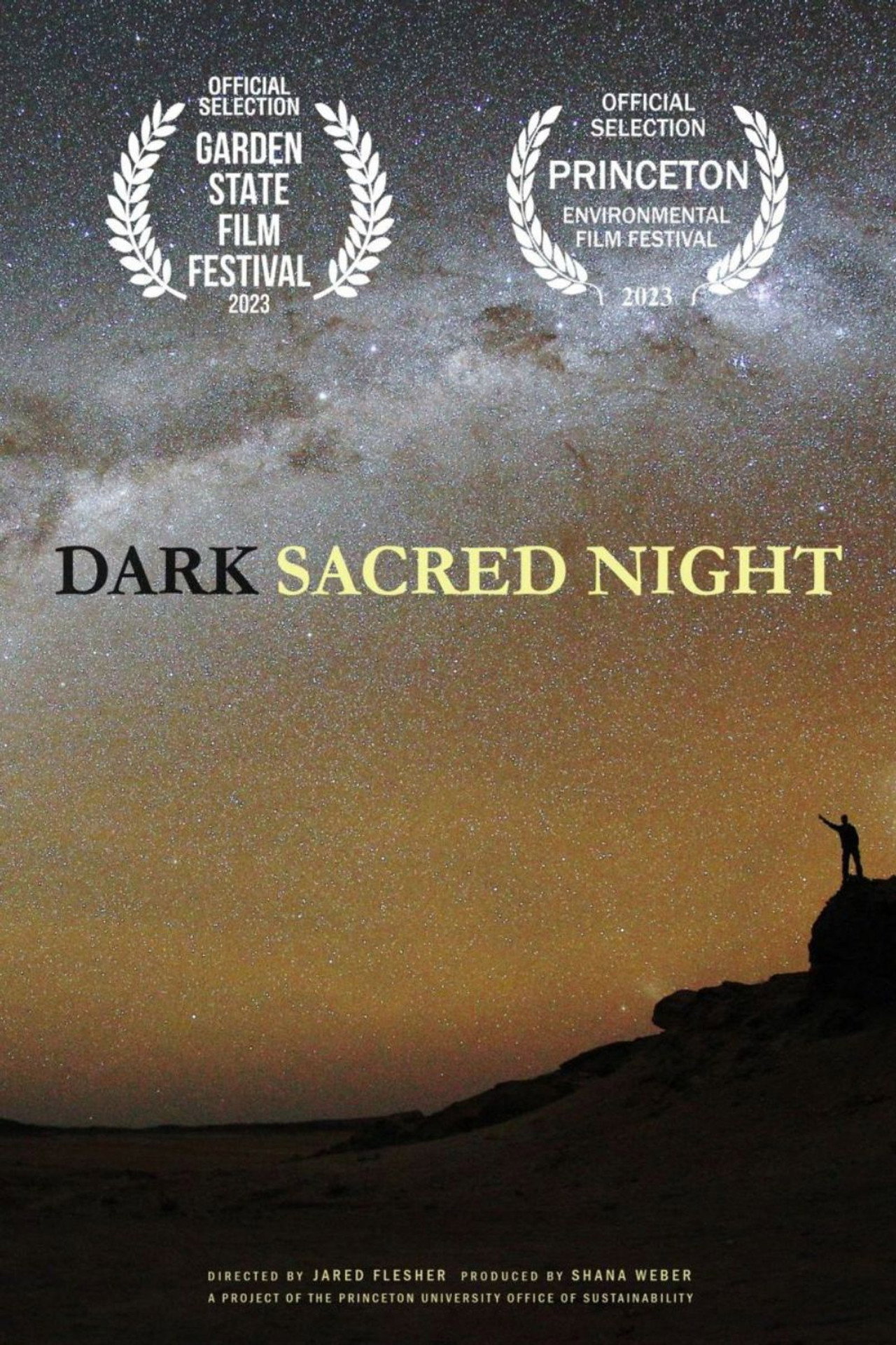 Dark Sacred Night