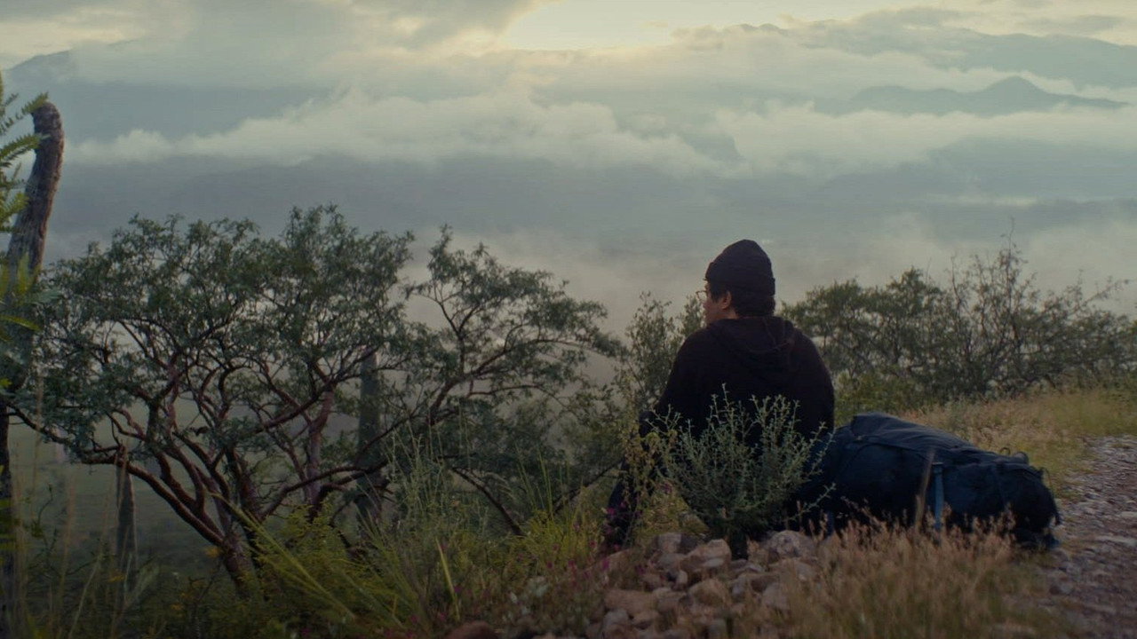 Estuaries still 8