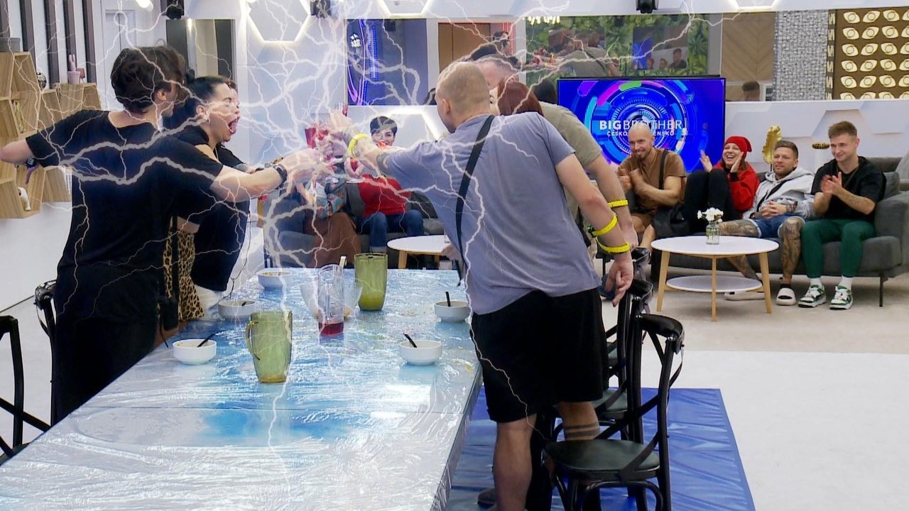 Big Brother Česko & Slovensko - Season 1 Episode 17 : Episode 17