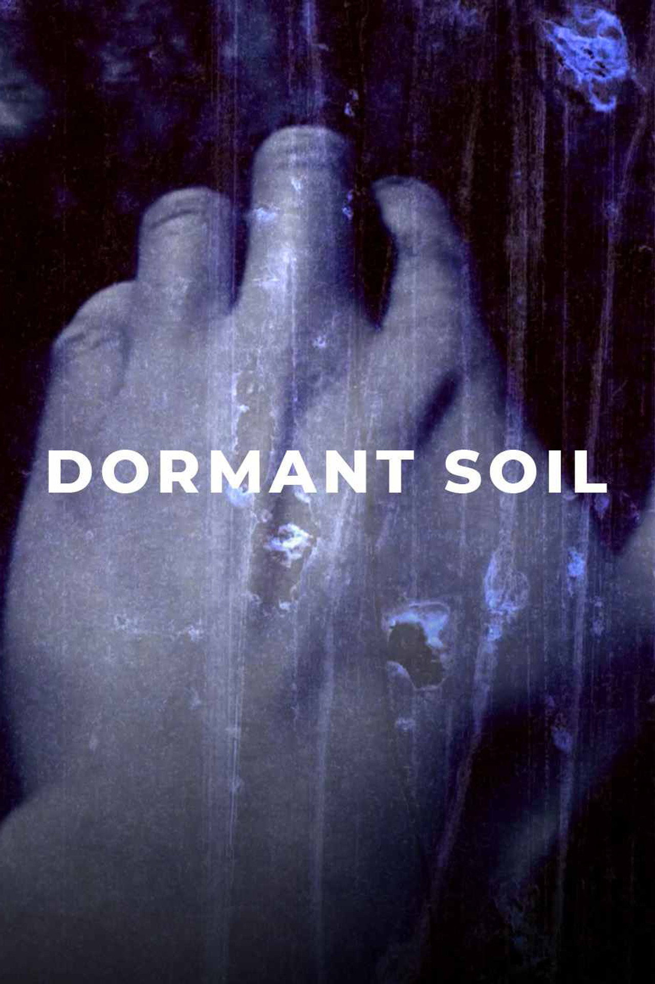 Dormant Soil/Concrete Reflections filmaffisch