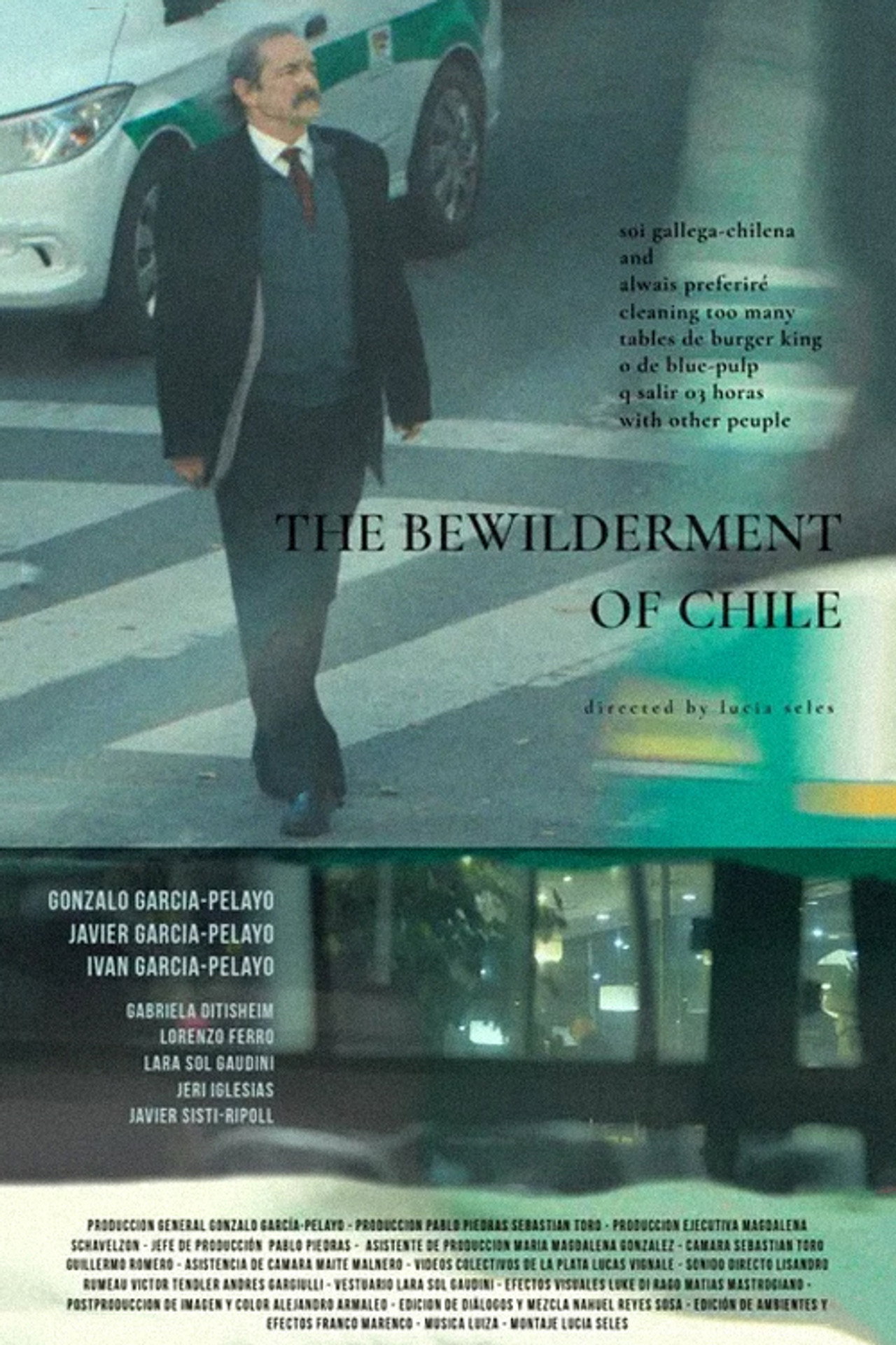 The Bewilderment of Chile filmaffisch