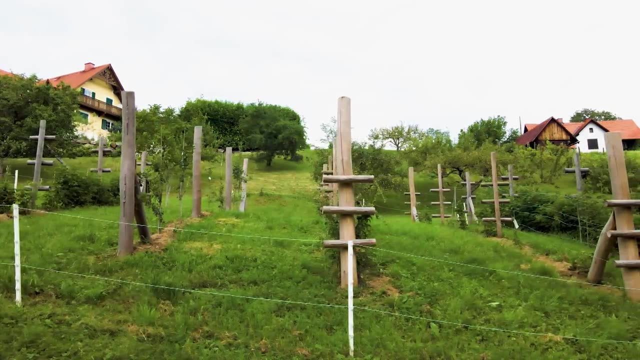 Natur im Garten - Season 25 Episode 12 : Episode 12