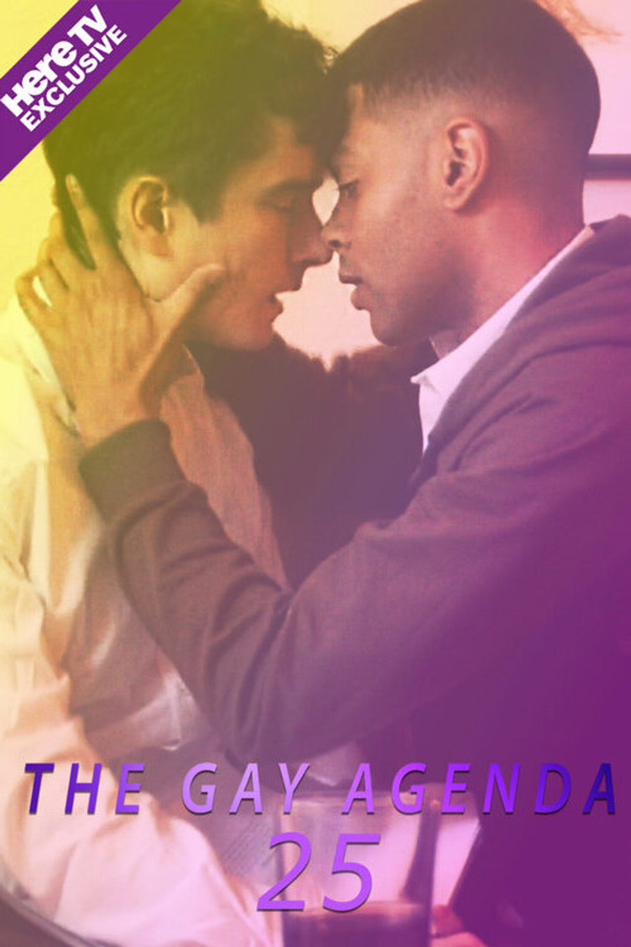 The Gay Agenda 25 filmaffisch