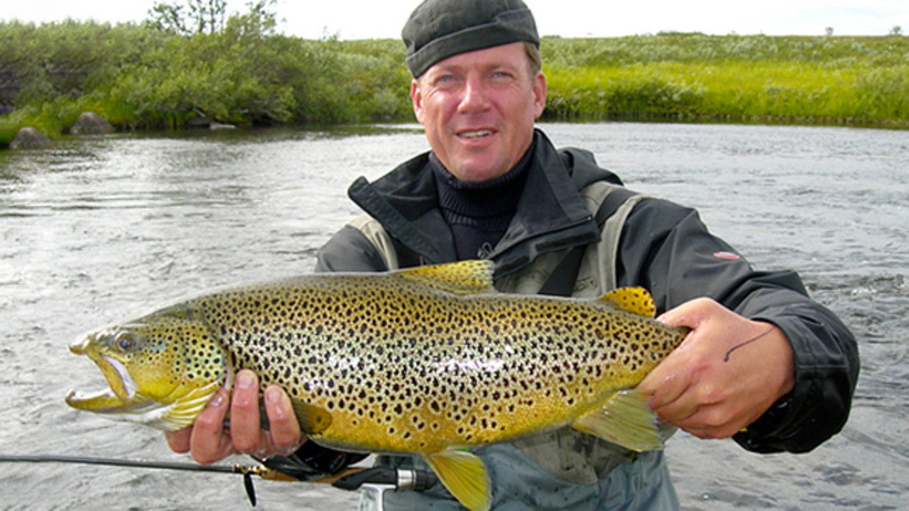 Fiskedrag