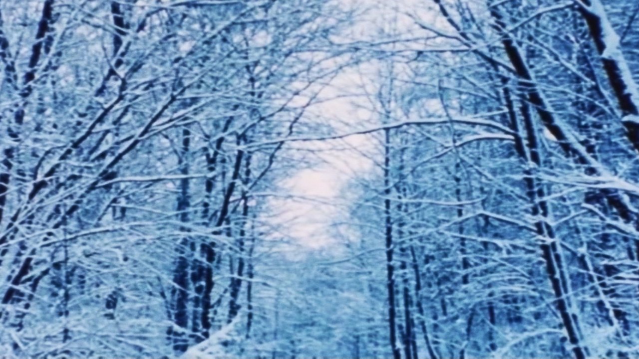 title image