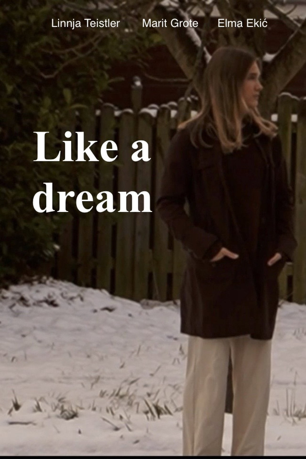 Like a dream