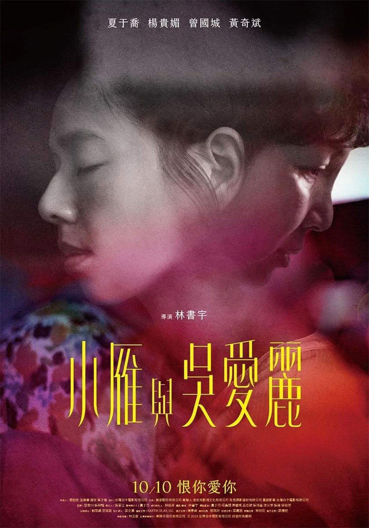 小雁與吳愛麗 poster