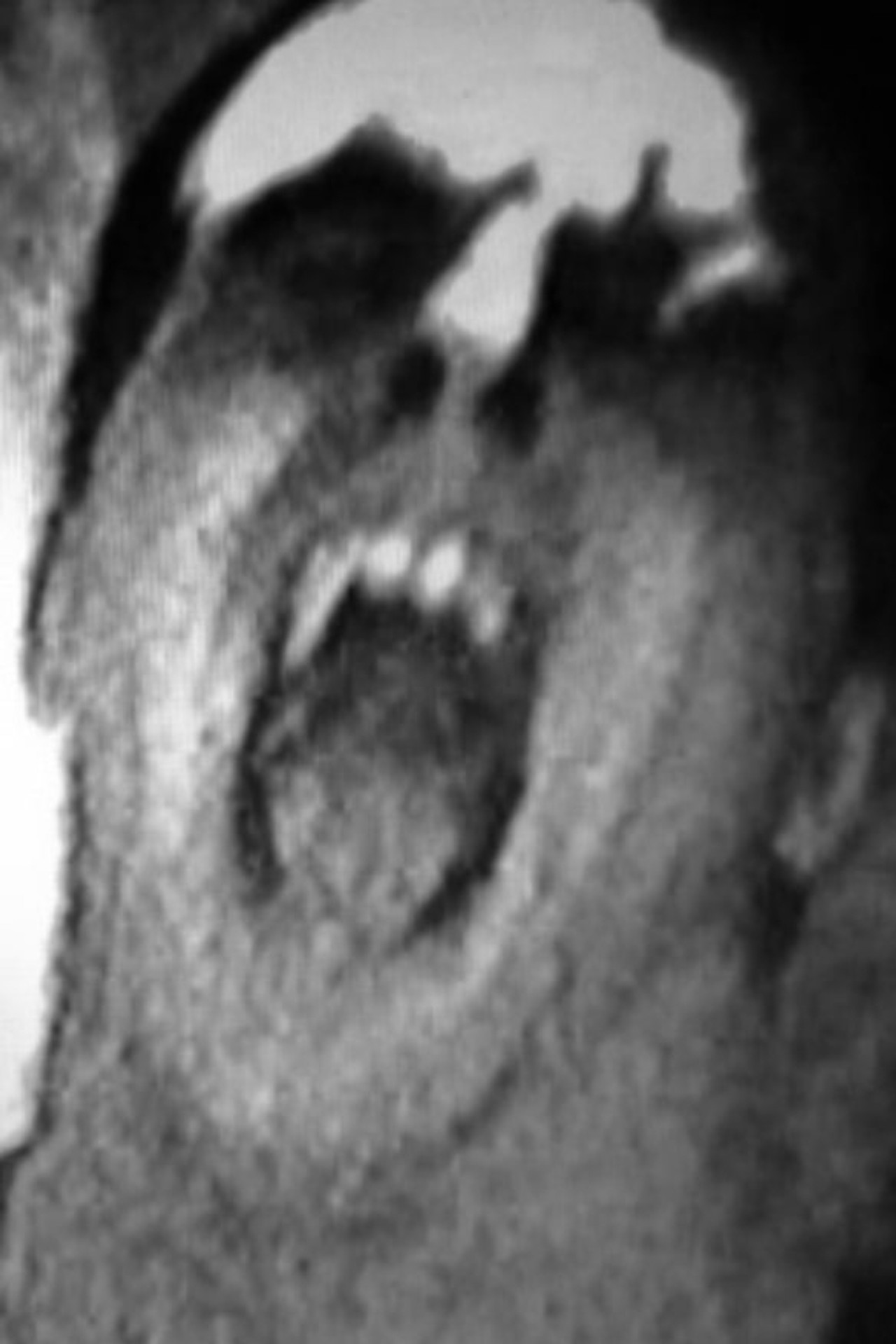Dont Shout Backdrop