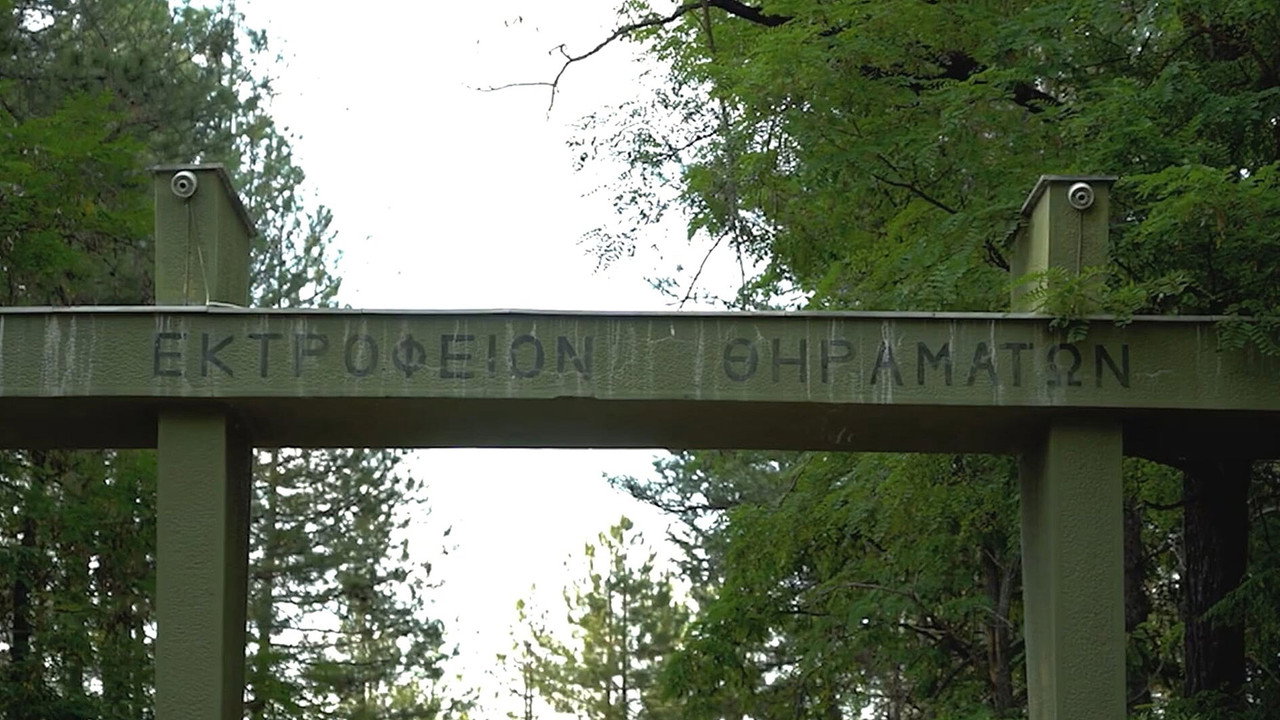 Game Farm