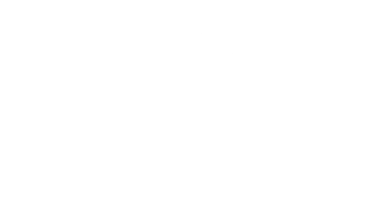 Hannah Montana 20th Anniversary Special