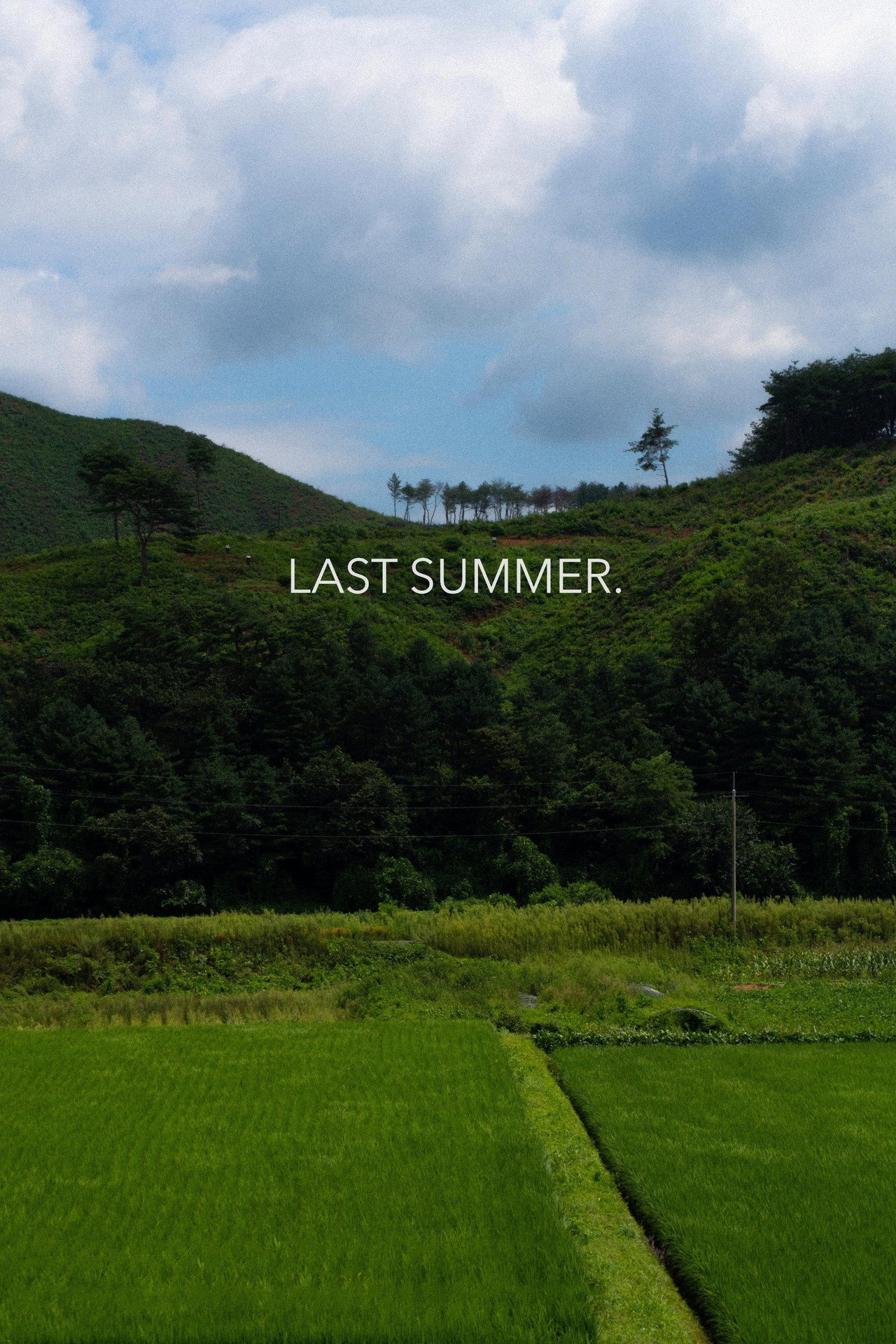 Last Summer