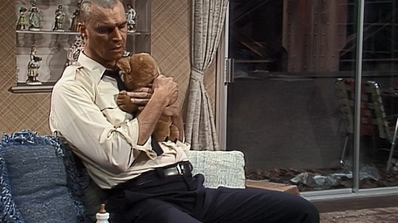 Bull's Baby