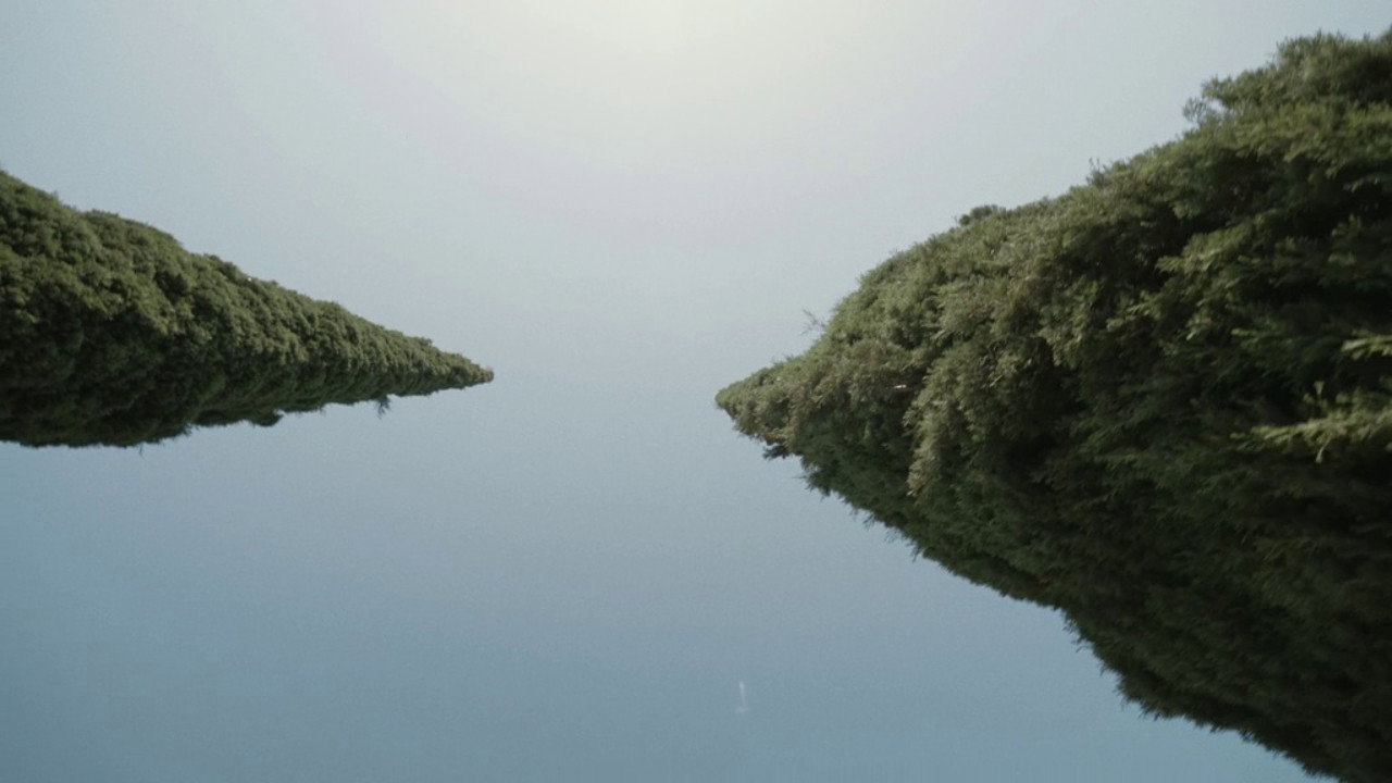 A Plot, A Scandal backdrop