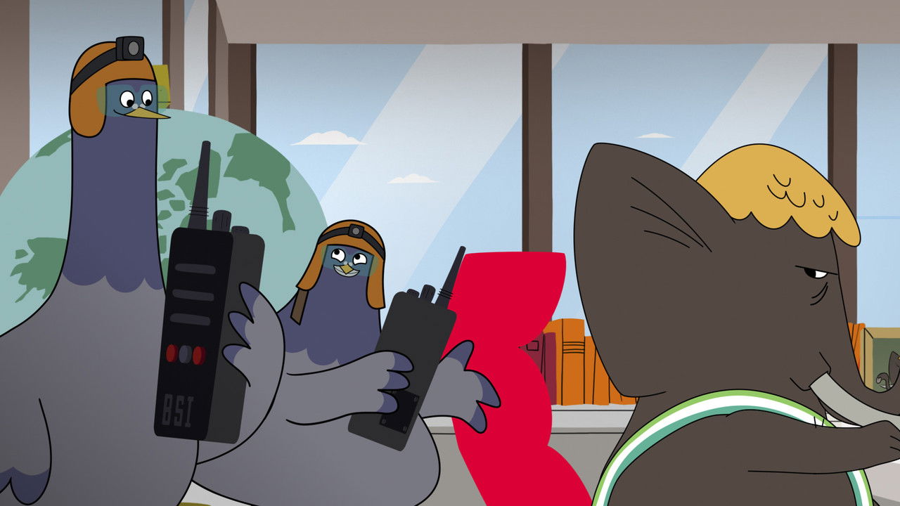 Grosha et Mr B. — Pigeons de haut vol