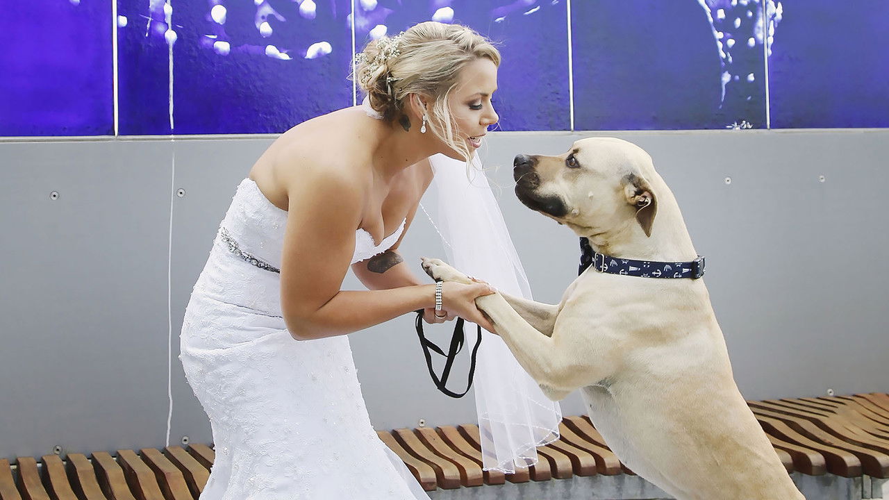 Top Jobs for Dogs — Épisode 10