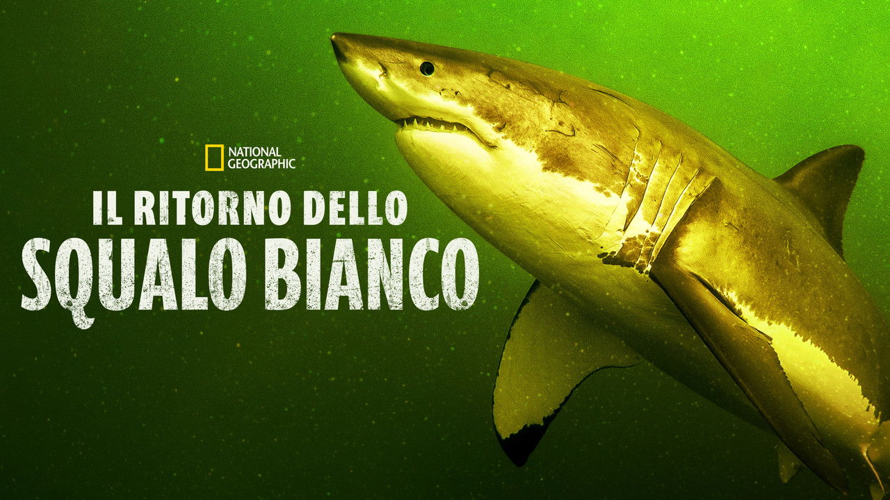 Return of the White Shark backdrop