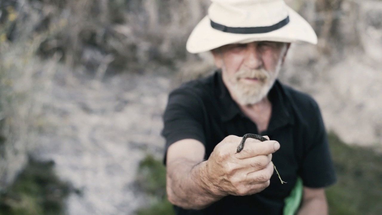 La Simienti del'Augua