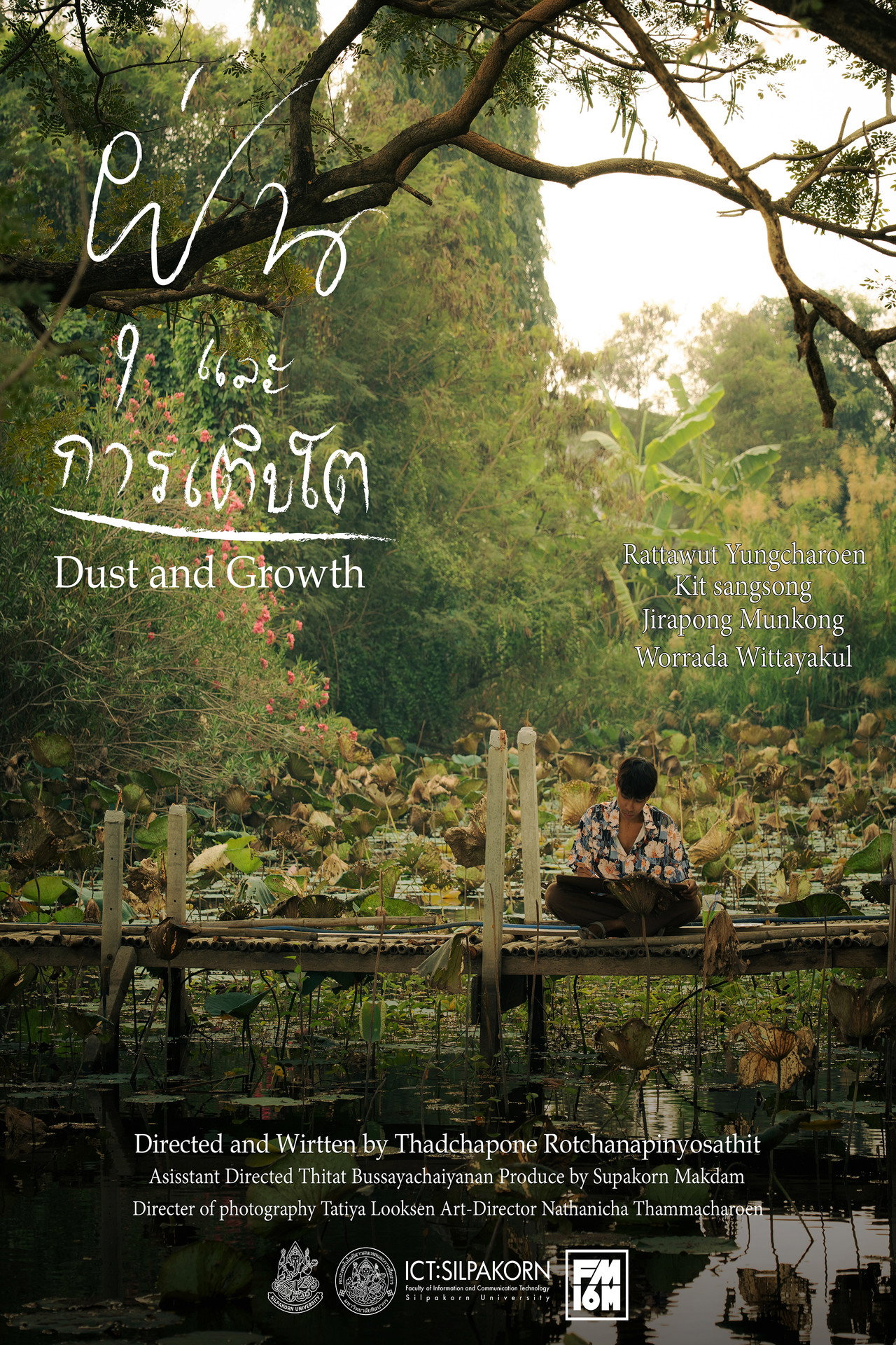ฝุ่นและการเติบโต