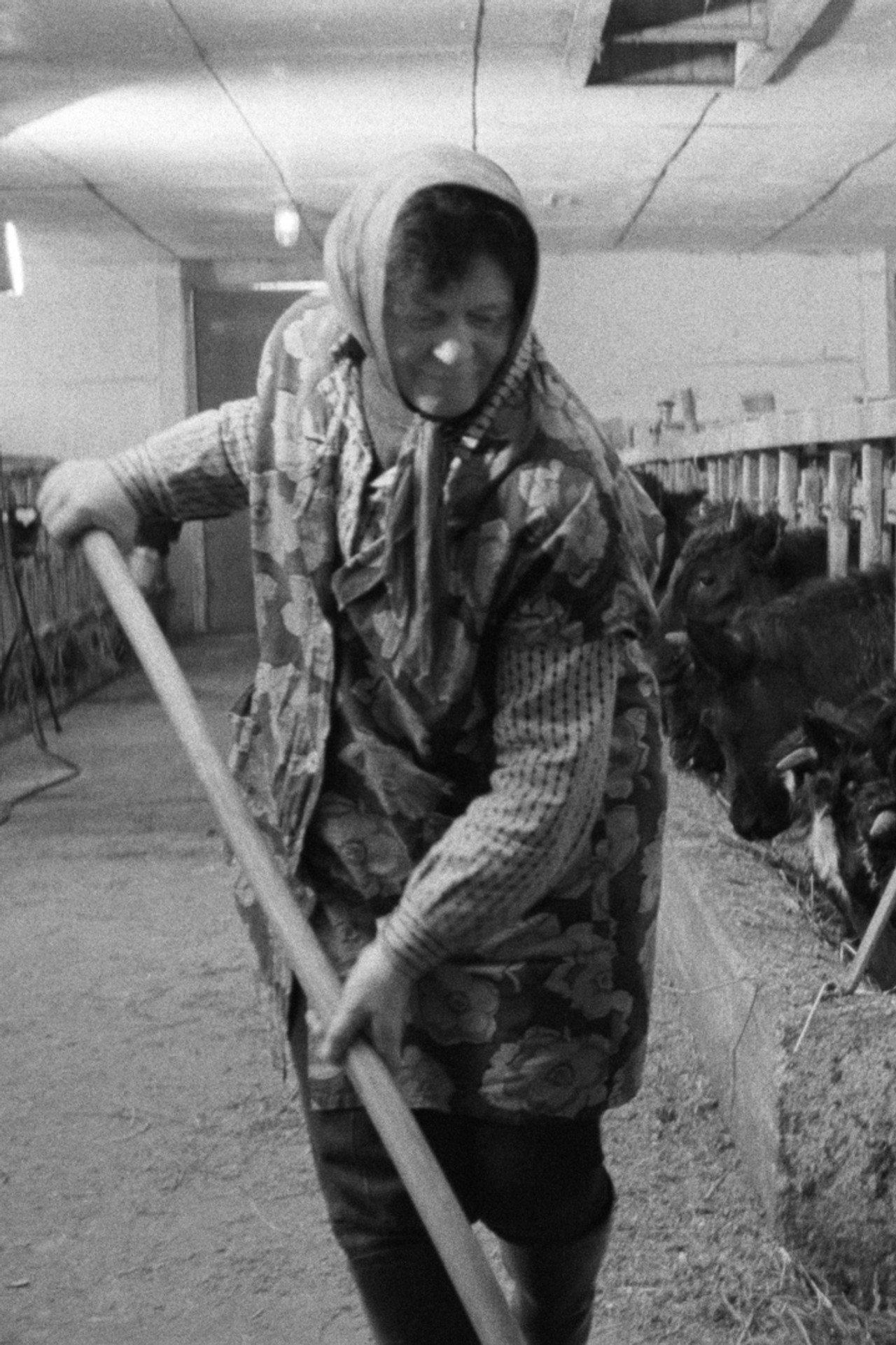 Im Märzen die Bäuerin filmaffisch