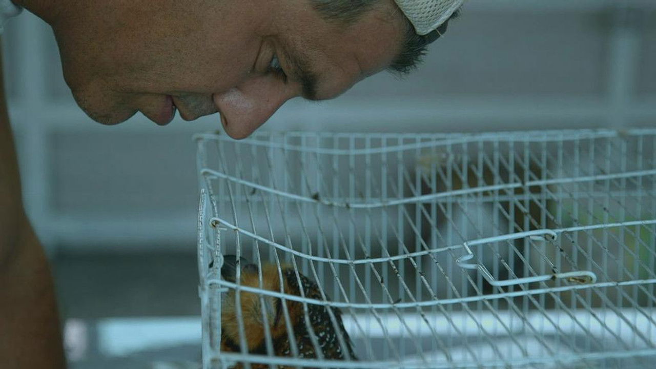 Wild Frank — Épisode 3