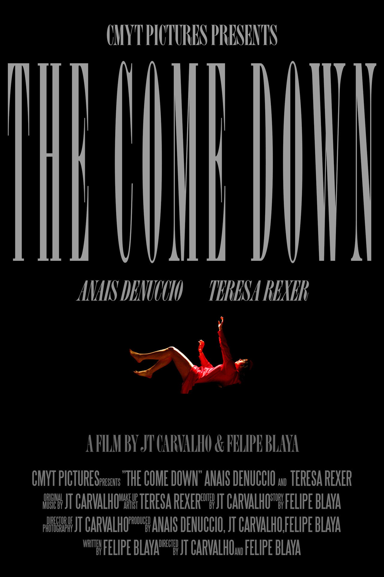 The Come Down poster