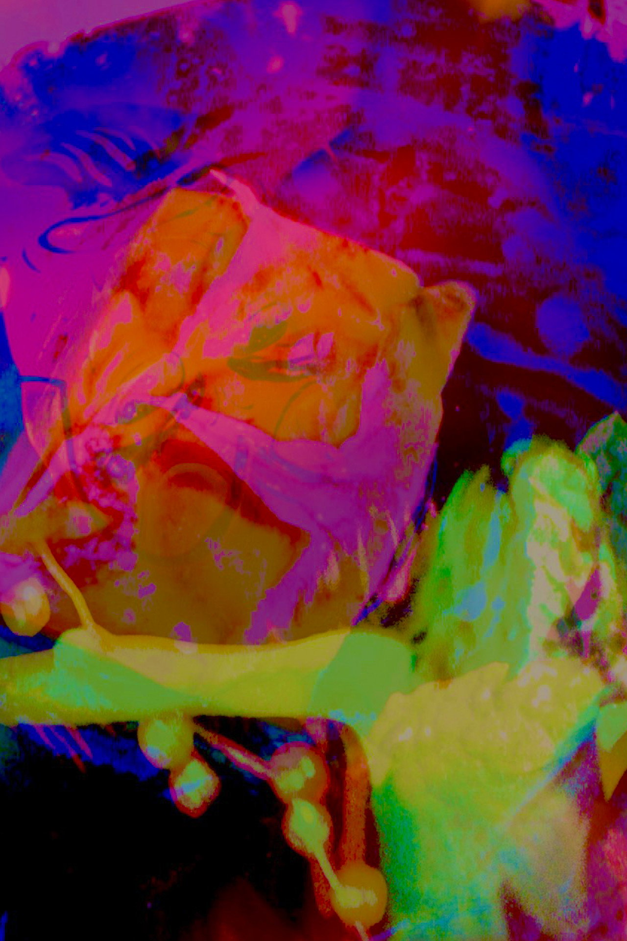 Hannah's Psycho-delic Adventure filmaffisch
