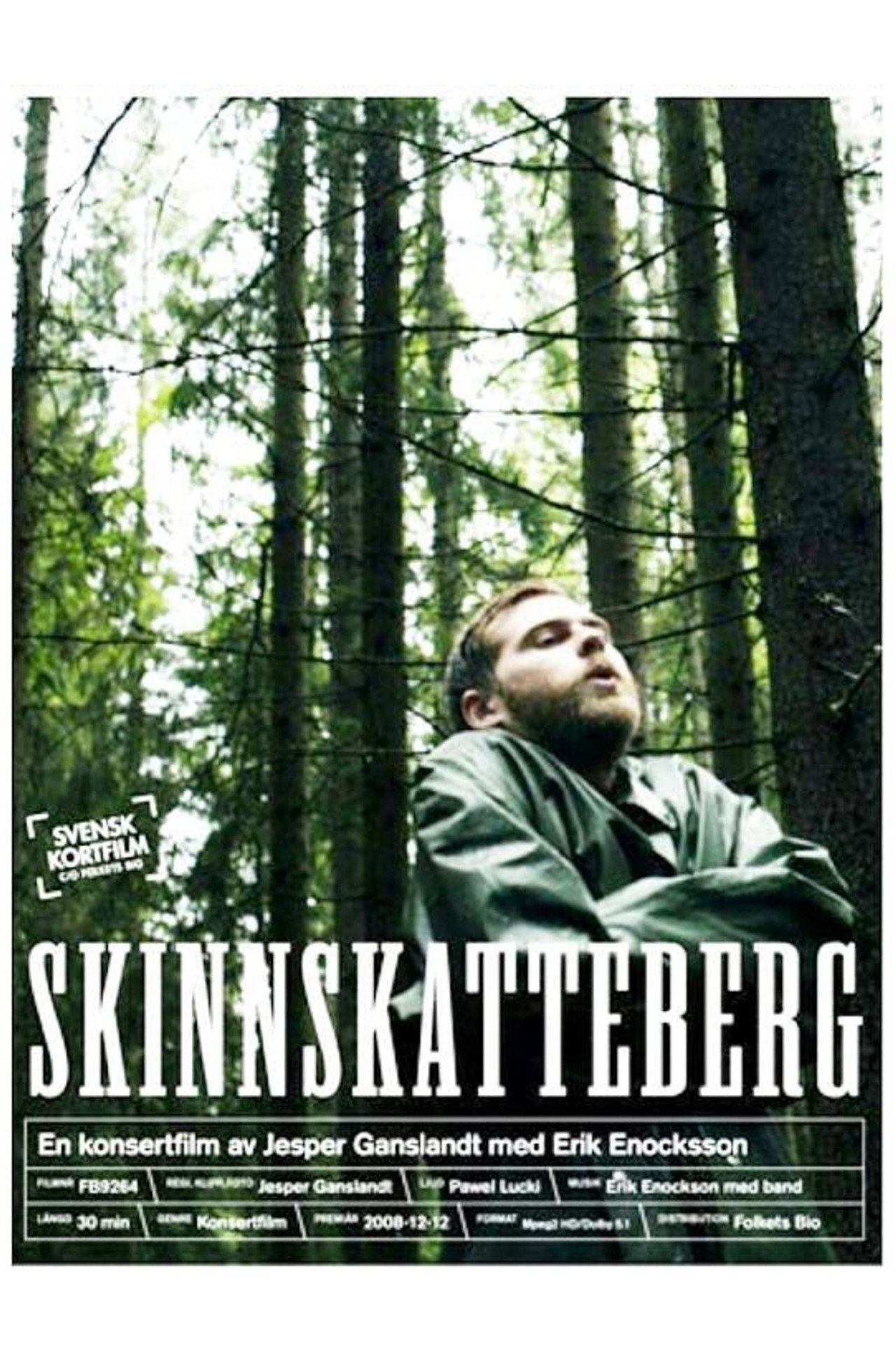 Skinnskatteberg filmaffisch