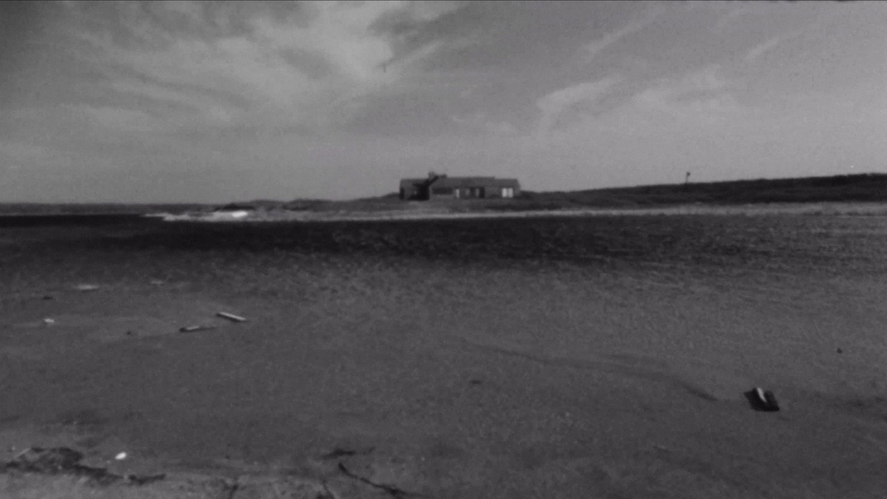 Vineyard IV still 2