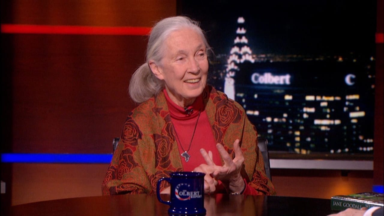 The Colbert Report - Season 10 Episode 88 : Jane Goodall