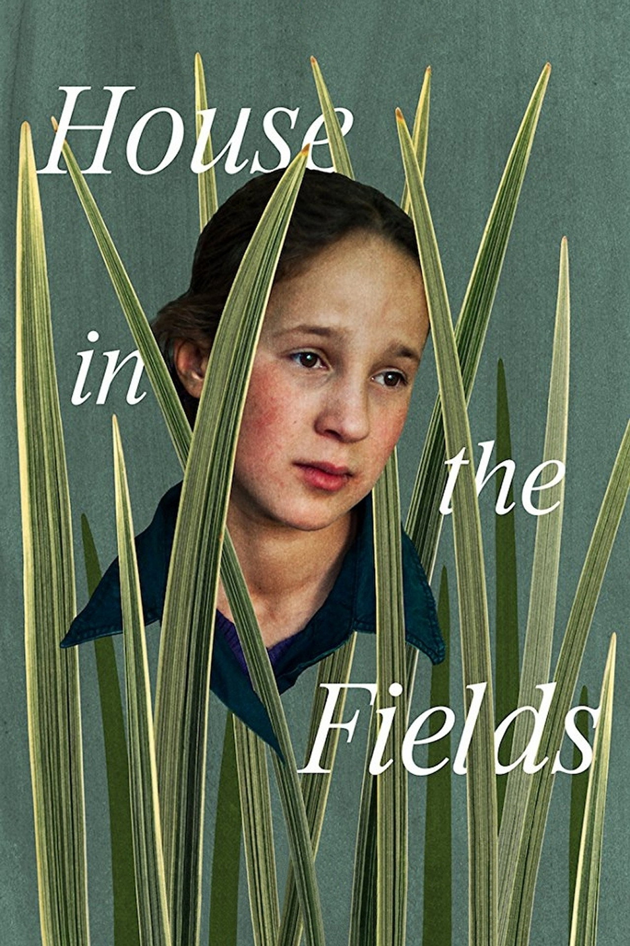 Tigmi n Igren filmaffisch