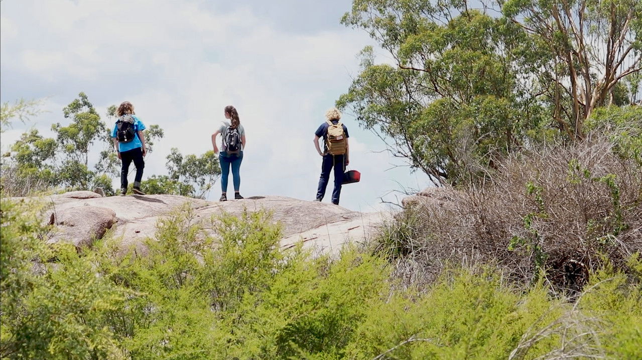 Bits 'N Pieces backdrop