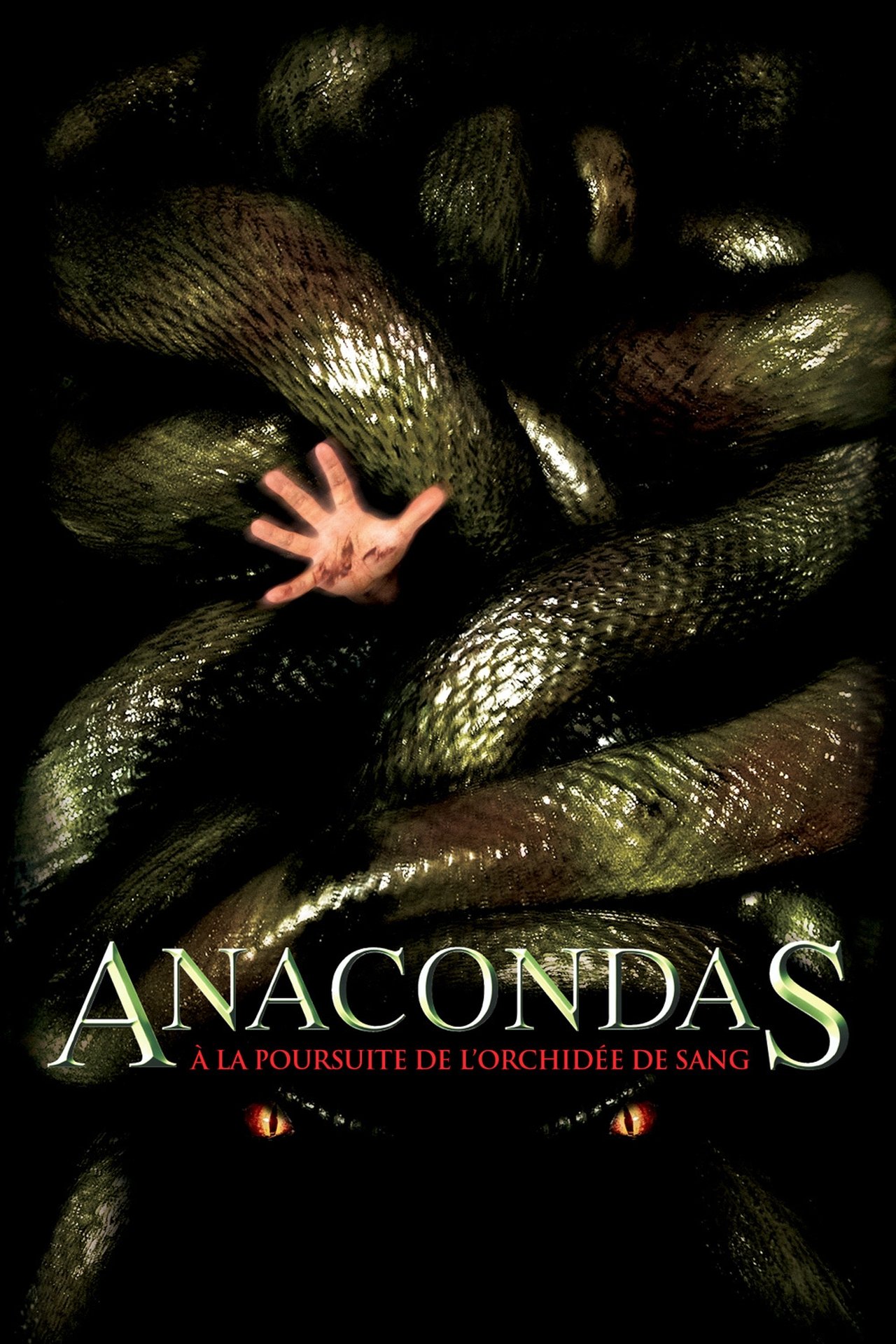 Anacondas : À la poursuite de l'orchidée de sang poster