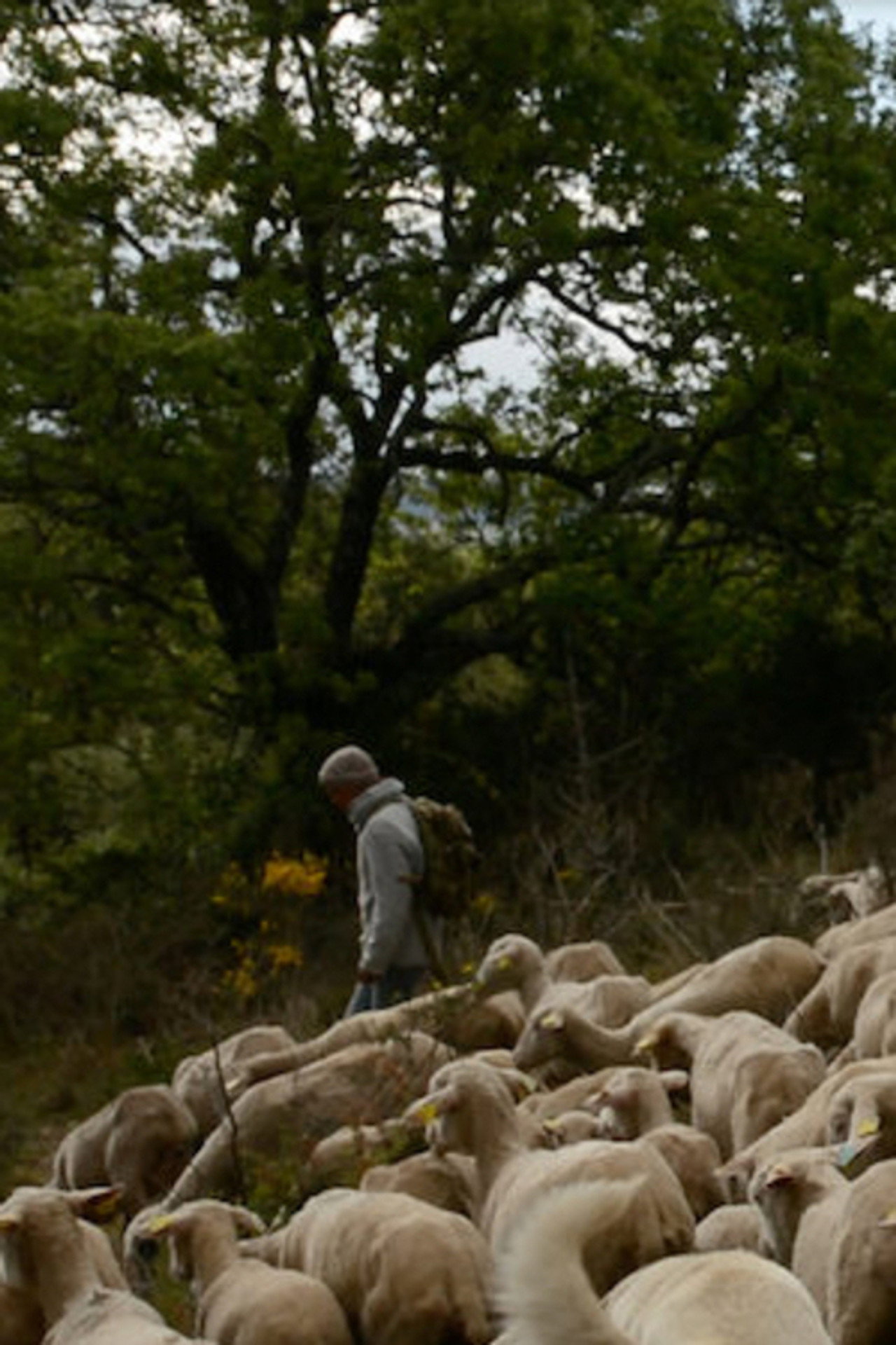 Marche ou Crève
