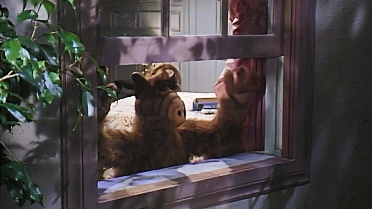 Strangers in the Night