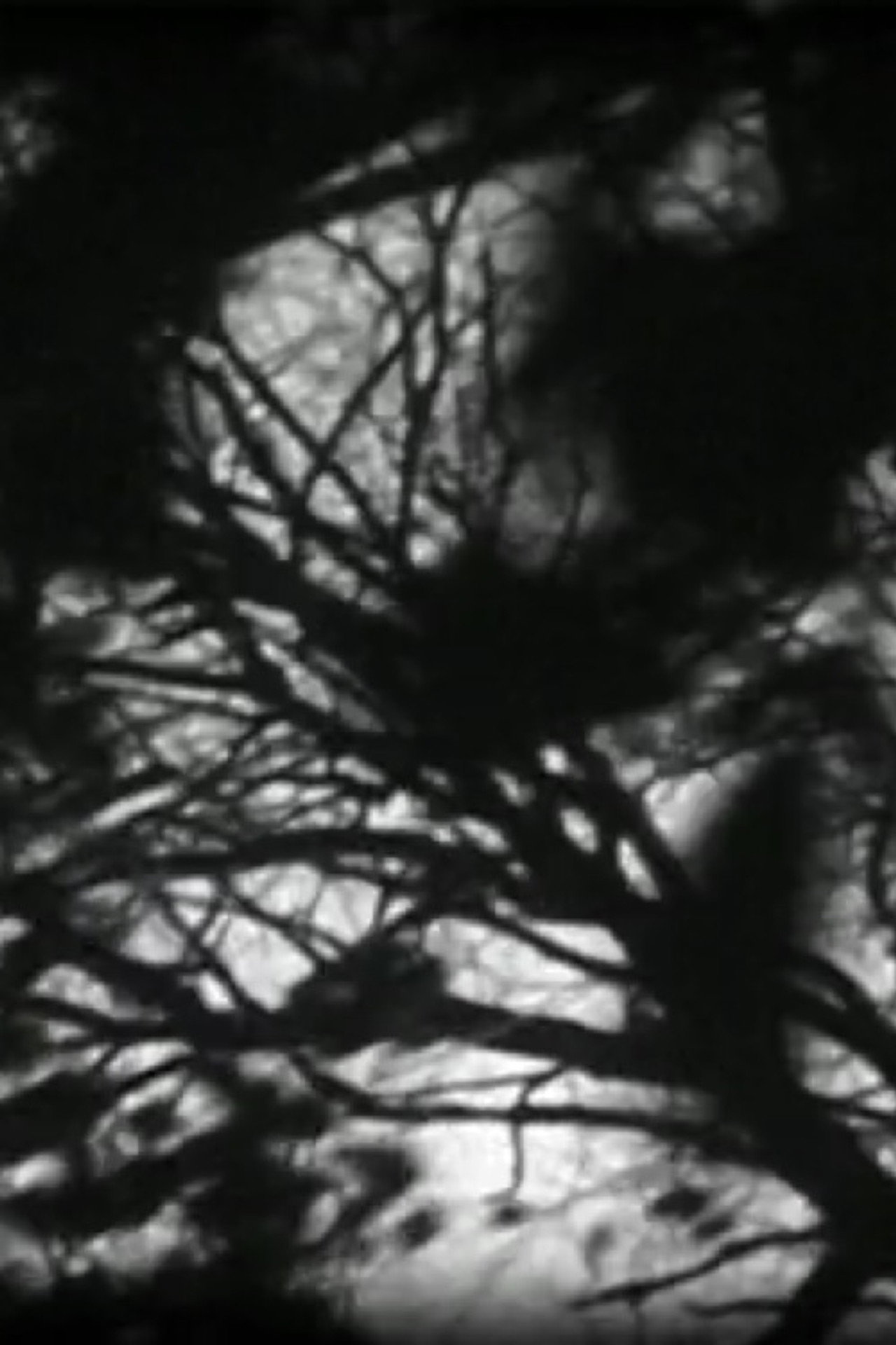 Masquerade filmaffisch