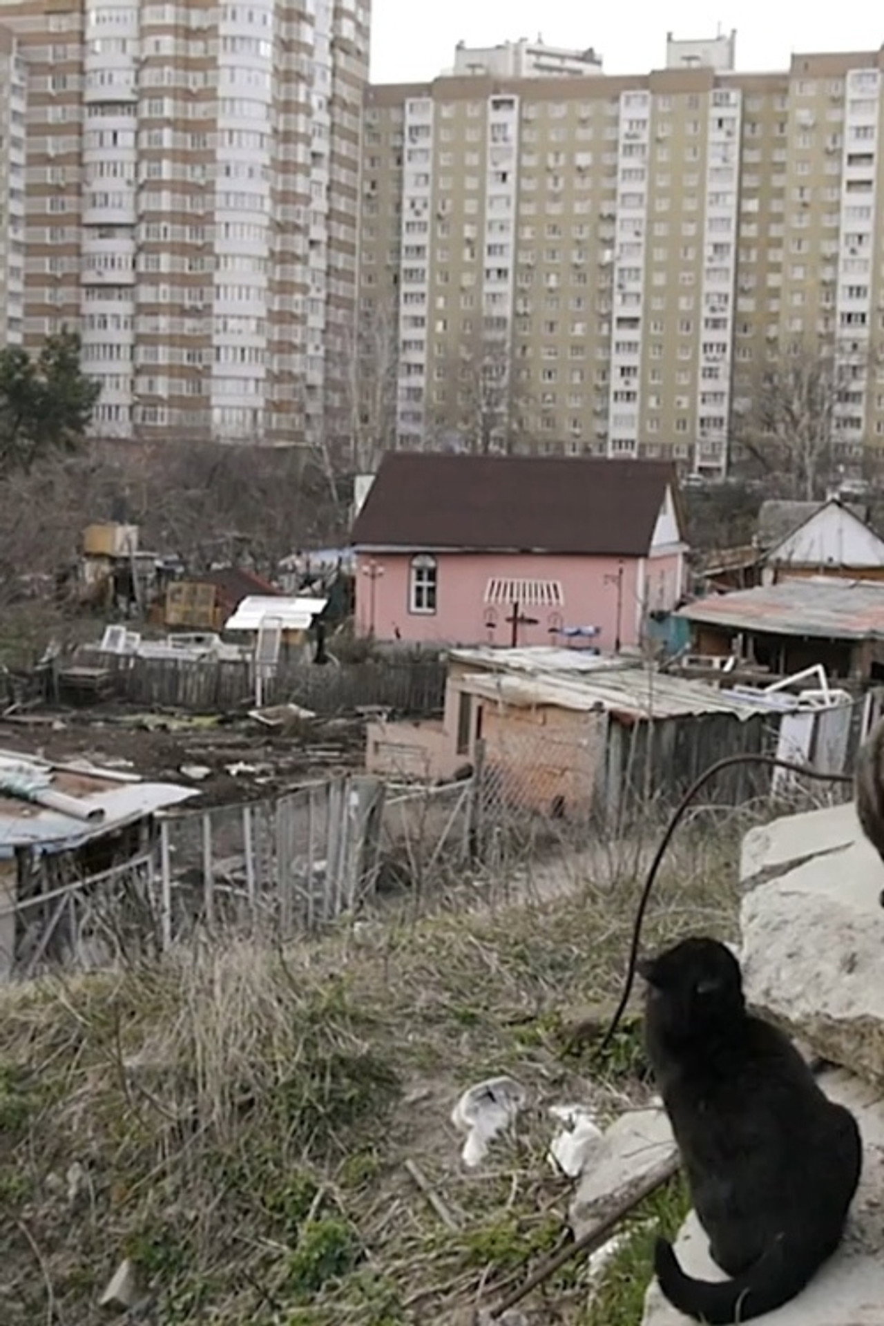 Among the Huts