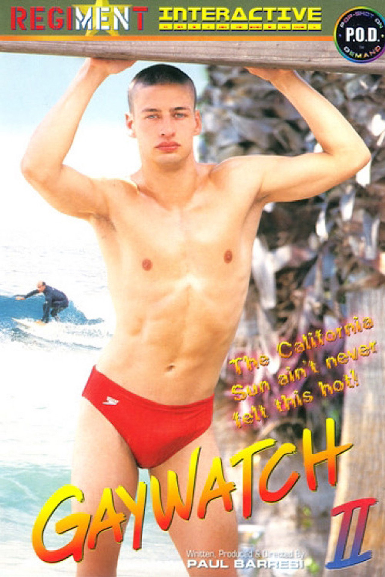 Gaywatch 2 filmaffisch