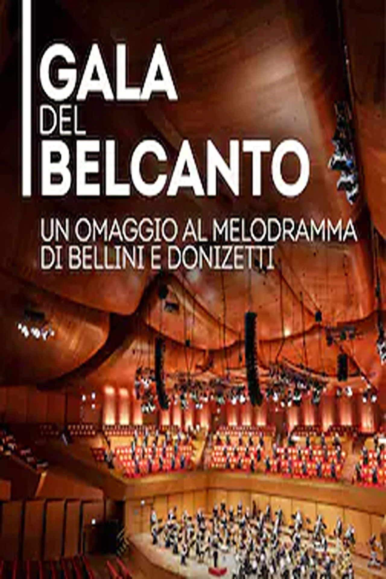 Gala del Belcanto - Omaggio al melodramma di Bellini e Donizetti Backdrop