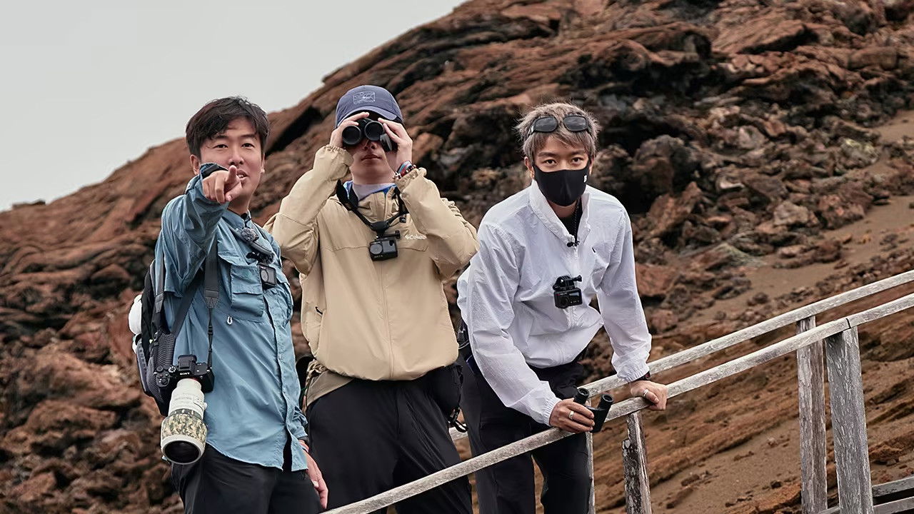 这里没信号 backdrop